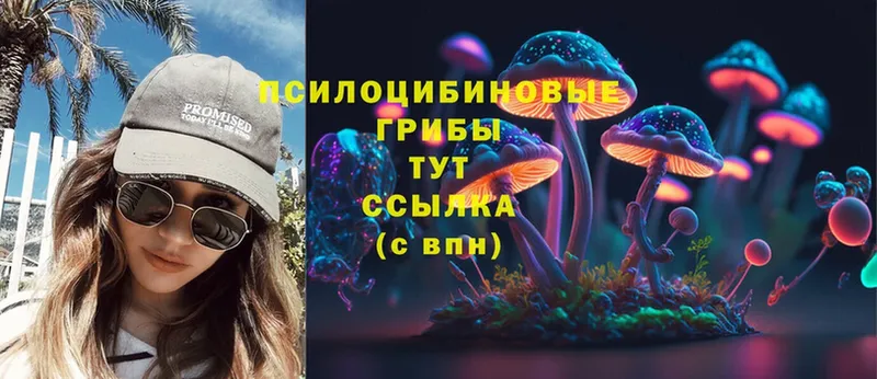 Галлюциногенные грибы Magic Shrooms  ссылка на мегу   Гагарин 